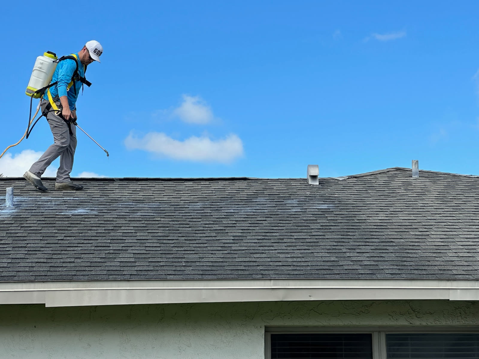 Applicator with backpack sprayer walking a shingle roof while applying RevivaRoof treatment